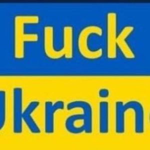 Meet your Posher, Darwin